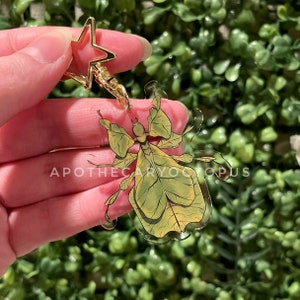 Leafbug Charm | 2" Insect Keychain