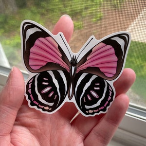 Agrias claudina Butterfly Sticker | 3 inch Vinyl Sticker