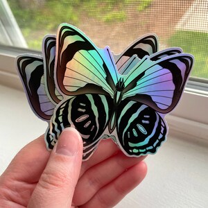 Holographic Agrias claudina Butterfly Sticker | 3 inch Vinyl Sticker