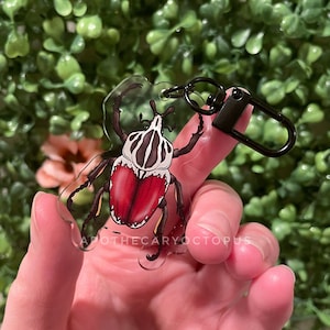 Goliath Beetle Nyckelring | Mini Berlock 5 cm