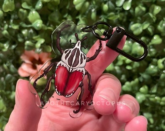 May include: A clear acrylic keychain featuring a detailed illustration of a beetle with a red and white body, brown legs, and a black clasp. The text "APOTHECARYOCTOPUS" is printed on the bottom of the keychain.