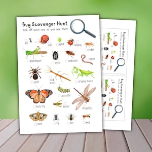 May include: A white paper Bug Scavenger Hunt activity sheet featuring colorful watercolor illustrations of various insects like a butterfly, grasshopper, and dragonfly, each with a checkbox and label for identification and tracking.