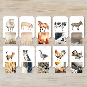 Peut inclure: Un ensemble de dix cartes éducatives rectangulaires présentant des illustrations à l'aquarelle d'animaux de ferme, dont un mouton, un cochon, un cheval, une vache, un âne, un chat, un chien, une oie, un coq et une dinde, avec des échantillons.