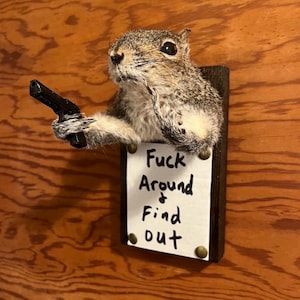 May include: A taxidermy squirrel mounted on a dark wooden plaque, holding a small black toy pistol in one paw. Below the squirrel, a white rectangular sign is attached with four brass-colored studs, featuring the handwritten text: Fuck Around & Find Out.