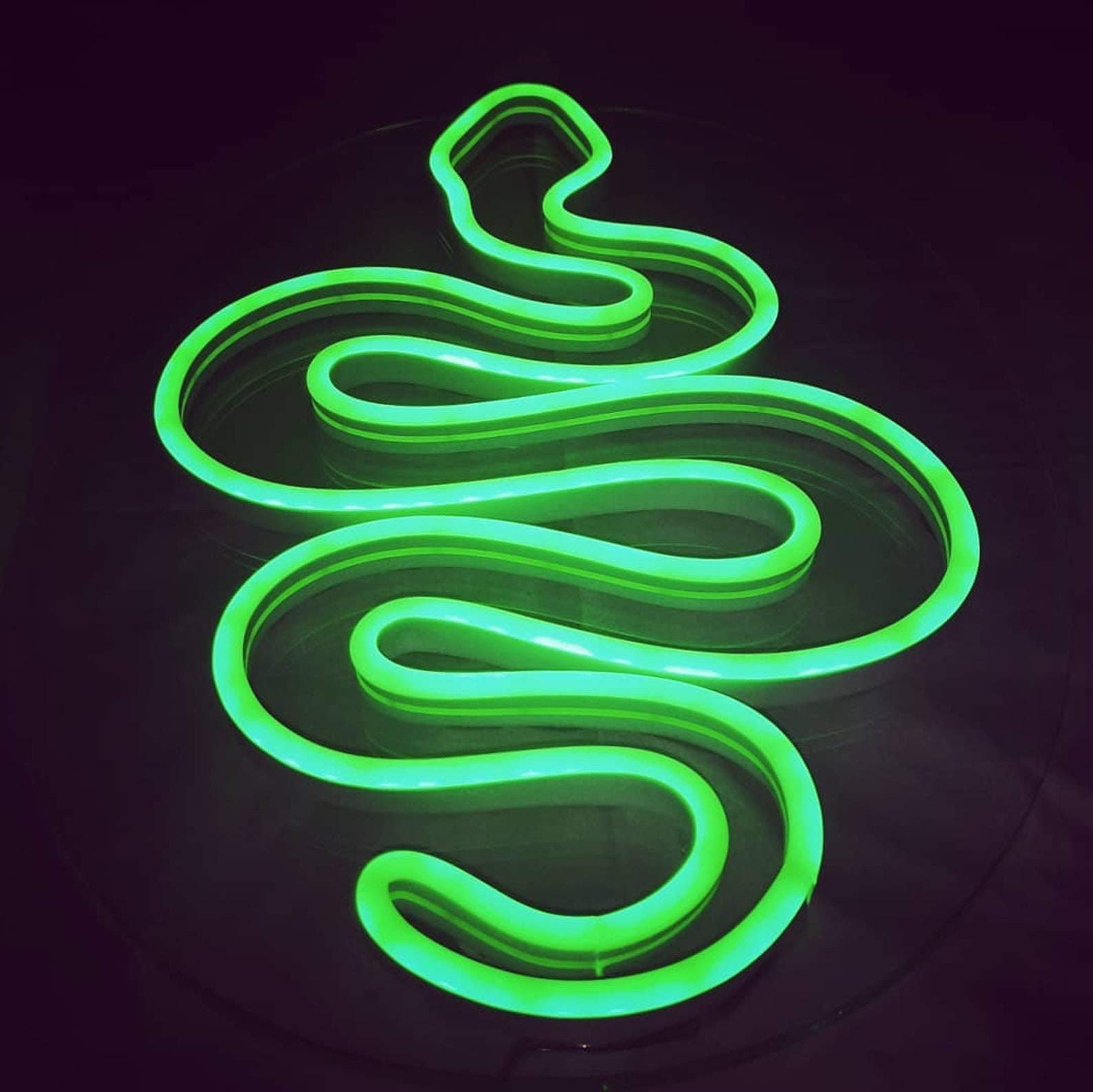 Snake Neon Sign Animals LED Neon Sign Wall Decor Neon - Etsy