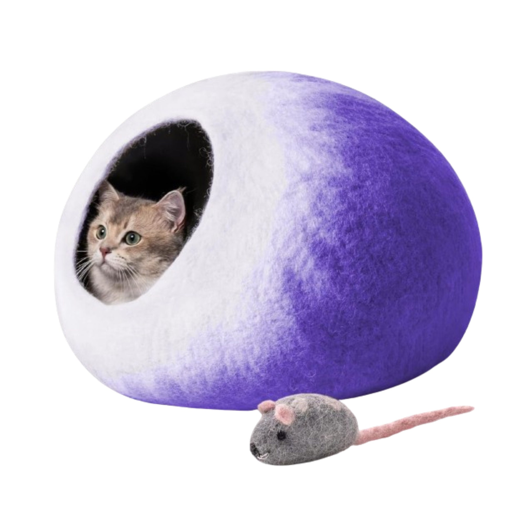 Cat top cave co