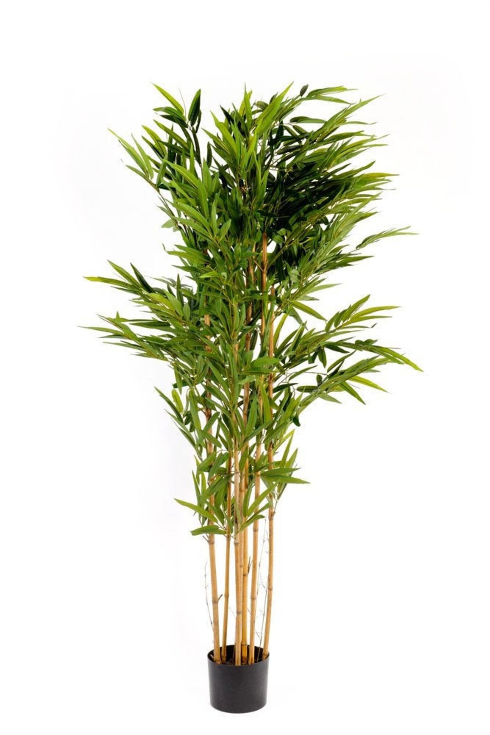 Artificial Bamboo Tree 200cm Large Indoor/Outdoor Use Etsy