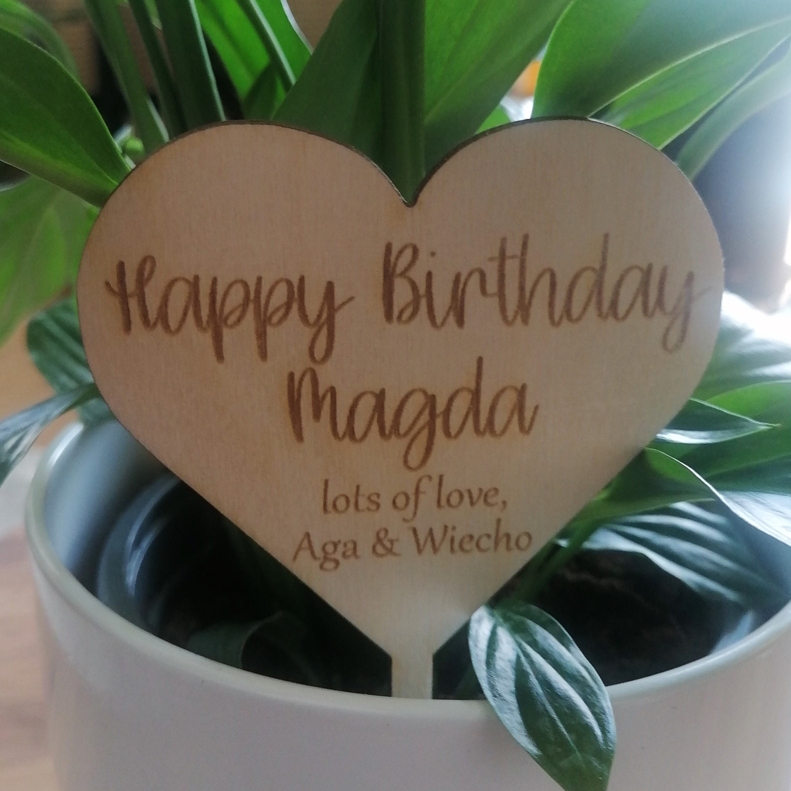 Personalised Wood Plant Gift Tag Plant Label Laser Cut and Etsy UK