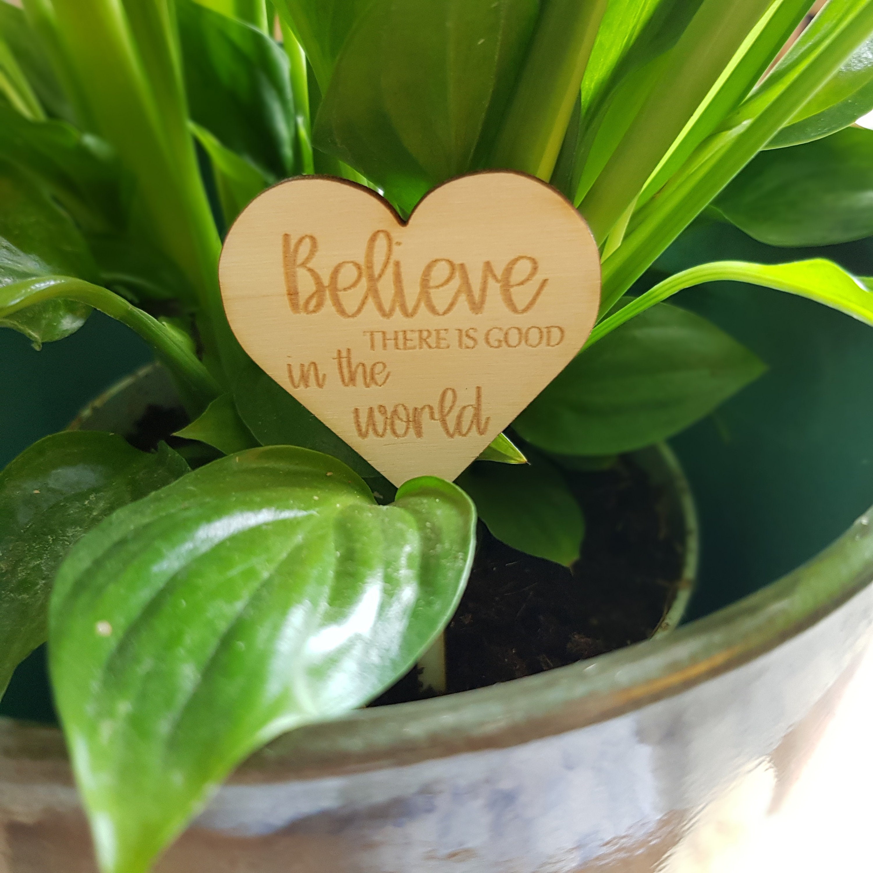 Personalised Wood Plant Gift Tag Plant Label Laser Cut and Etsy UK