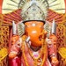 Raj shree