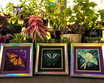 Artwork Print - Butterflies & Wildflowers- Framed or Unframed