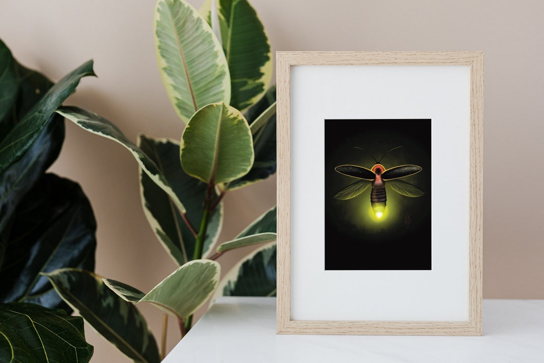 Lightning Bug Artwork Print Etsy