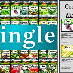 40 Vegetable & Fruit Seed for Planting Your Outdoor/Indoor Home Garden. Free Growing Guide. Gardening Heirloom Non-GMO Veggie Seeds