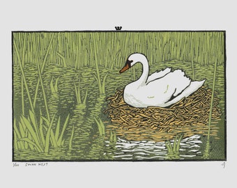 Swan Nest Linocut Print - Handmade A4 Artwork - White Bird In Green River With Reeds Landscape Wall Art