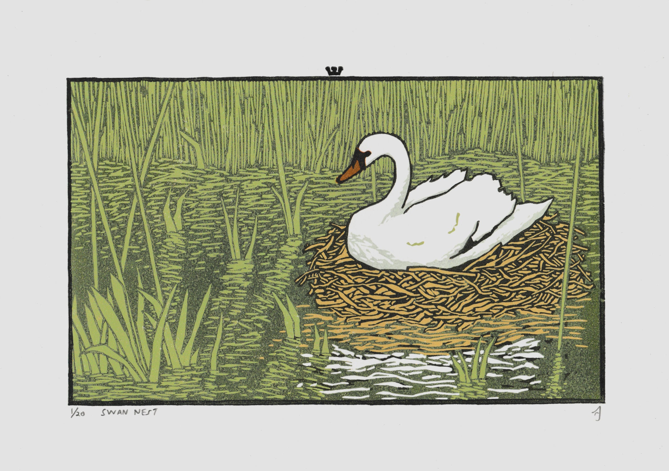 Swan Nest Linocut Print Handmade A4 Artwork White Bird in Green River
