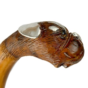 Puede incluir: Un mango de bastón de madera tallada con la forma de una cabeza de bulldog con detalles plateados en las orejas y la frente. El mango se une a un eje curvo de color marrón claro, mostrando la veta de la madera.