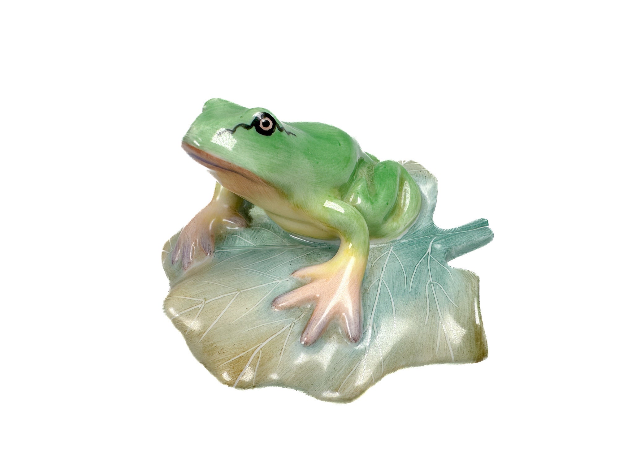 GTCWINCN Plastic Frogs ToyRealistic Frog Toy Decorations Mini Vinyl Frogs  Fun Rain Forest Character Toys Realistic Frog Figures Lifelike Plastic  Frogs