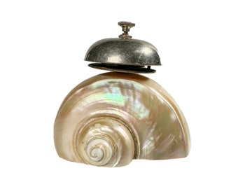 Vintage table bell made of snail shell around 1920s curiosity mother-of-pearl bell