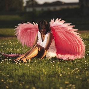 Pink Angel Wings Costume Photoshoots Prop Cosplay Costume - Etsy