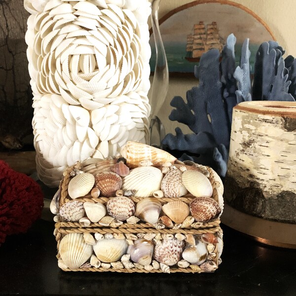 Seashell Jewelry Box - Etsy