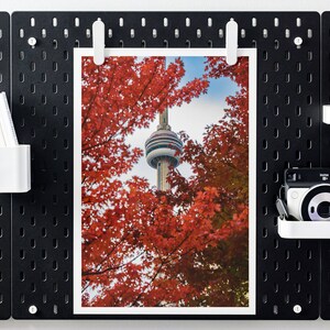 Torre CN de Outono | Árvore de Folha de Bordo Vermelha Temporada de Outono | Toronto, Ontário | Impressão Fotográfica de Belas Artes | Decoração de Parede