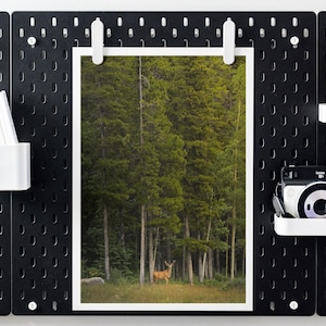 Pode incluir: Painel preto perfurado com uma foto emoldurada de uma paisagem florestal, um porta-canetas branco com canetas e uma câmera com uma lente. A foto mostra um veado em uma floresta.