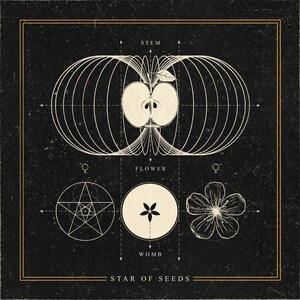 Star of Seeds Art Print Premium Matte Paper image 2