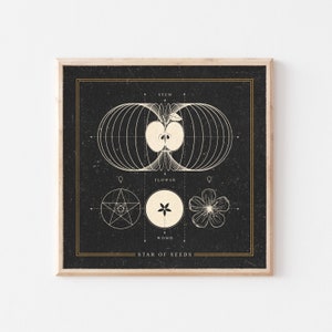 Star of Seeds Art Print Premium Matte Paper image 1