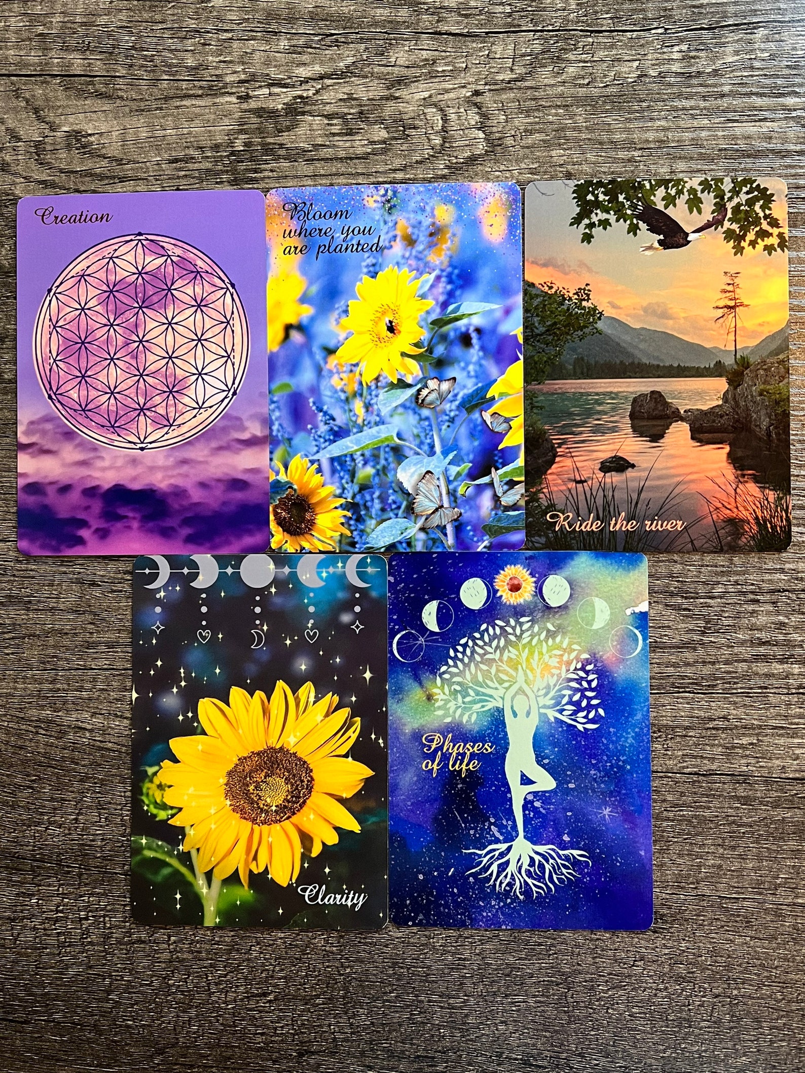 The Meloni Moon Oracle Deck Your Cosmic Compass To Intuitive Wisdom - gp3uk29