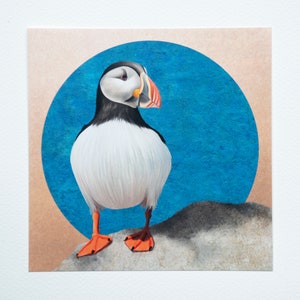 Puffin art print