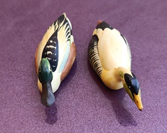 1960s TORIART ANRI Wildlife Collection Shoveler and Common Eider