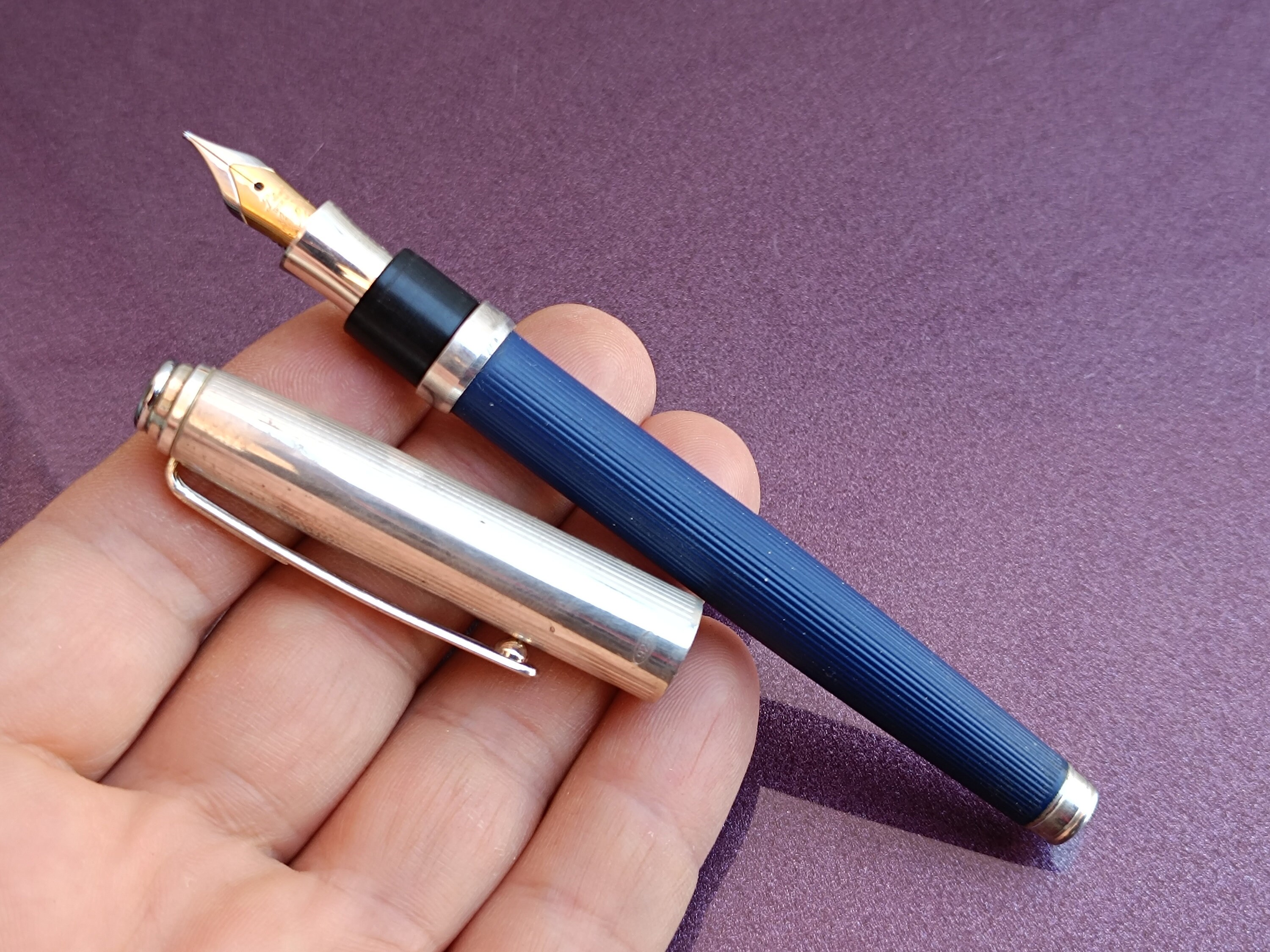 Stylo Plume Laban Cuir D'autruche - Exceptionnel, Neuf Jamais Encré, Marron