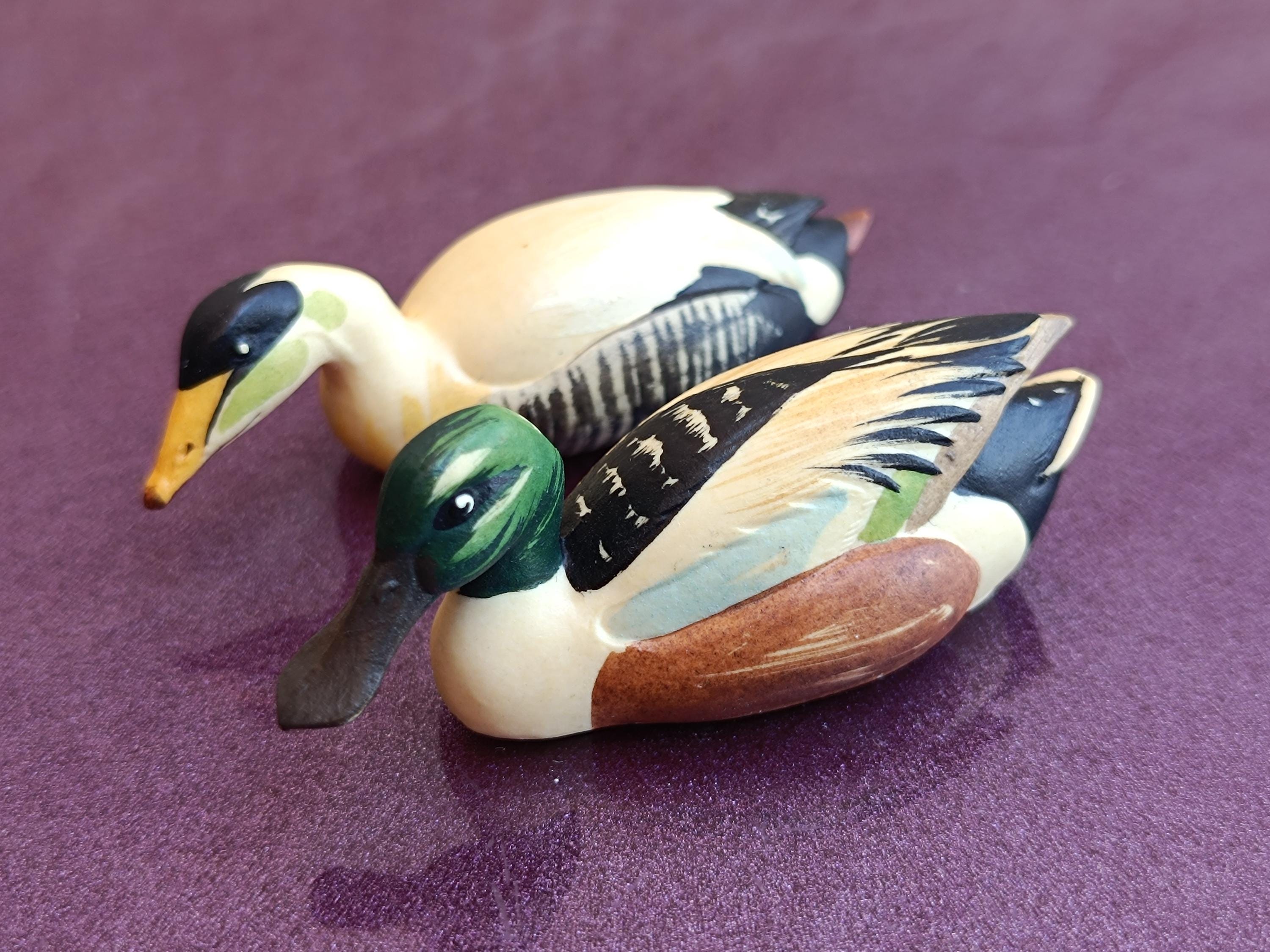 1960s TORIART ANRI Wildlife Collection Shoveler and Common Eider