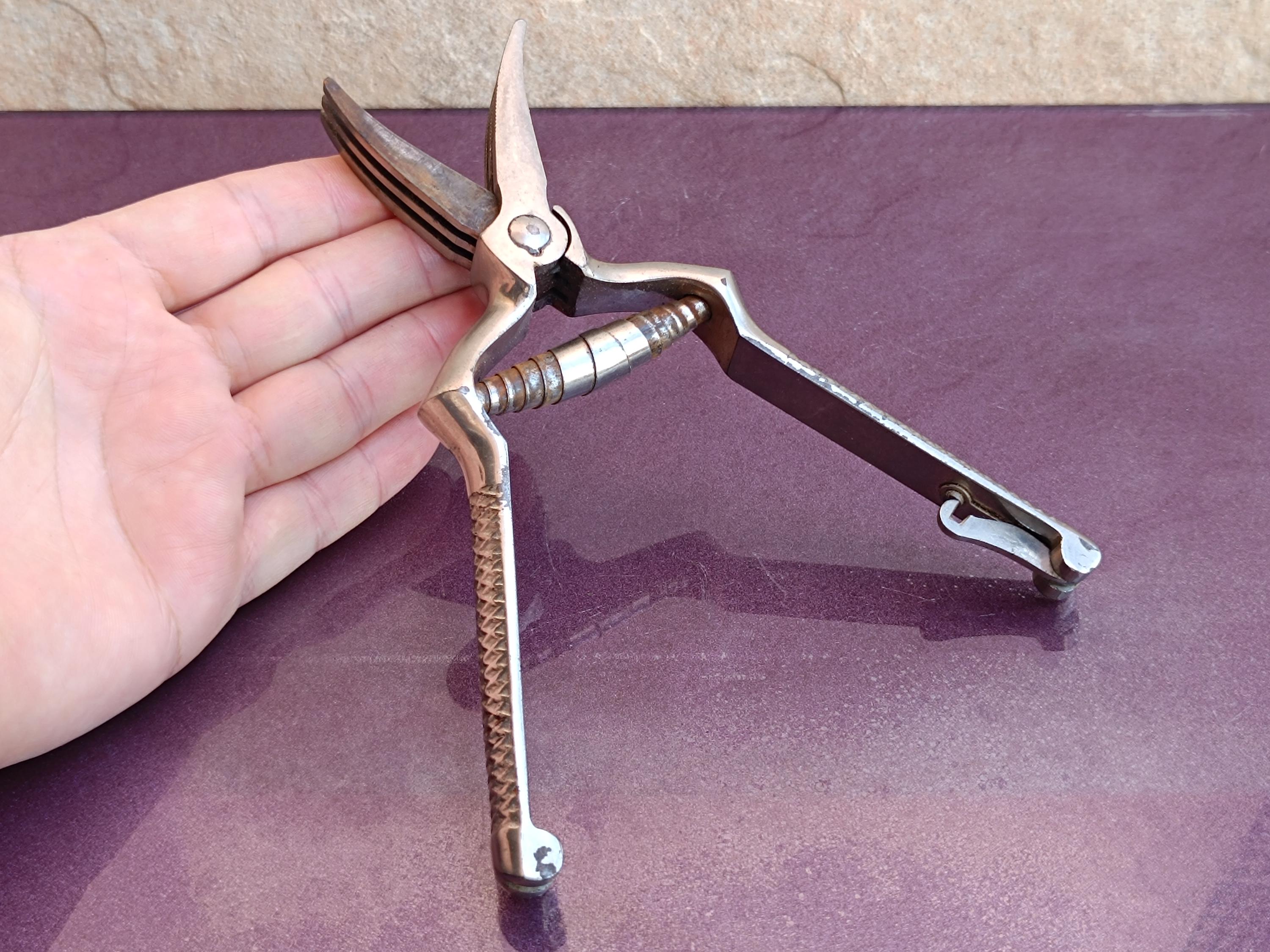 1960s Manual Metal Meat Chewer, Vintage Chewer Meat Chewer, Retro