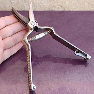 May include: Silver garden shears with curved blades and a textured handle. The shears are designed for trimming plants and flowers. The blades are sharp and the handle is ergonomically designed for comfortable use. The shears are shown on a purple surface.