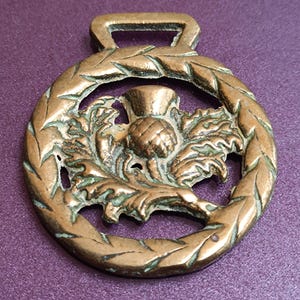 1980s Horse Brass National Federation Of Poultry Clubs, Vintage Horse Brass, Horse Brasses, Bronze Horse Brass