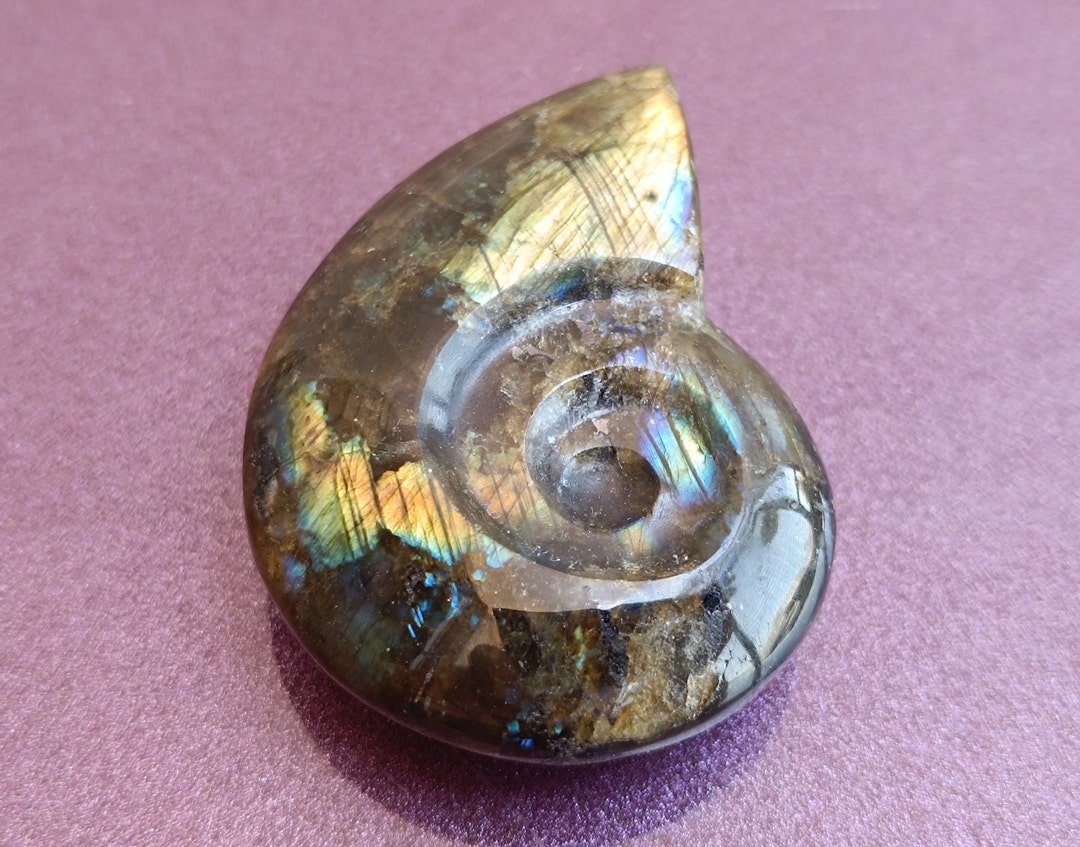 Labradorite Nautilus Shell Figure, Vintage Shell Figurine, Labradorite ...