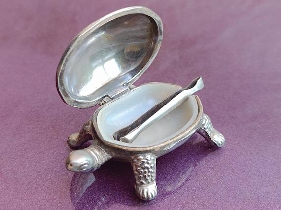 1980s Pill Box Turtle, Vintage Pill Case, Cool Pill Case, Small Pill Box, Pill Organizer, Pill Case Gift, Pill Box For Purse