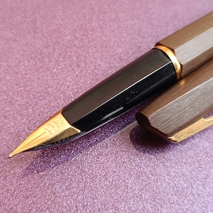 Penna stilografica Waterman con pennino in oro 18 carati, penna stilografica vintage, penna stilografica retrò, penna stilografica antica, penna stilografica francese oro 750 pennino penna inchiostro