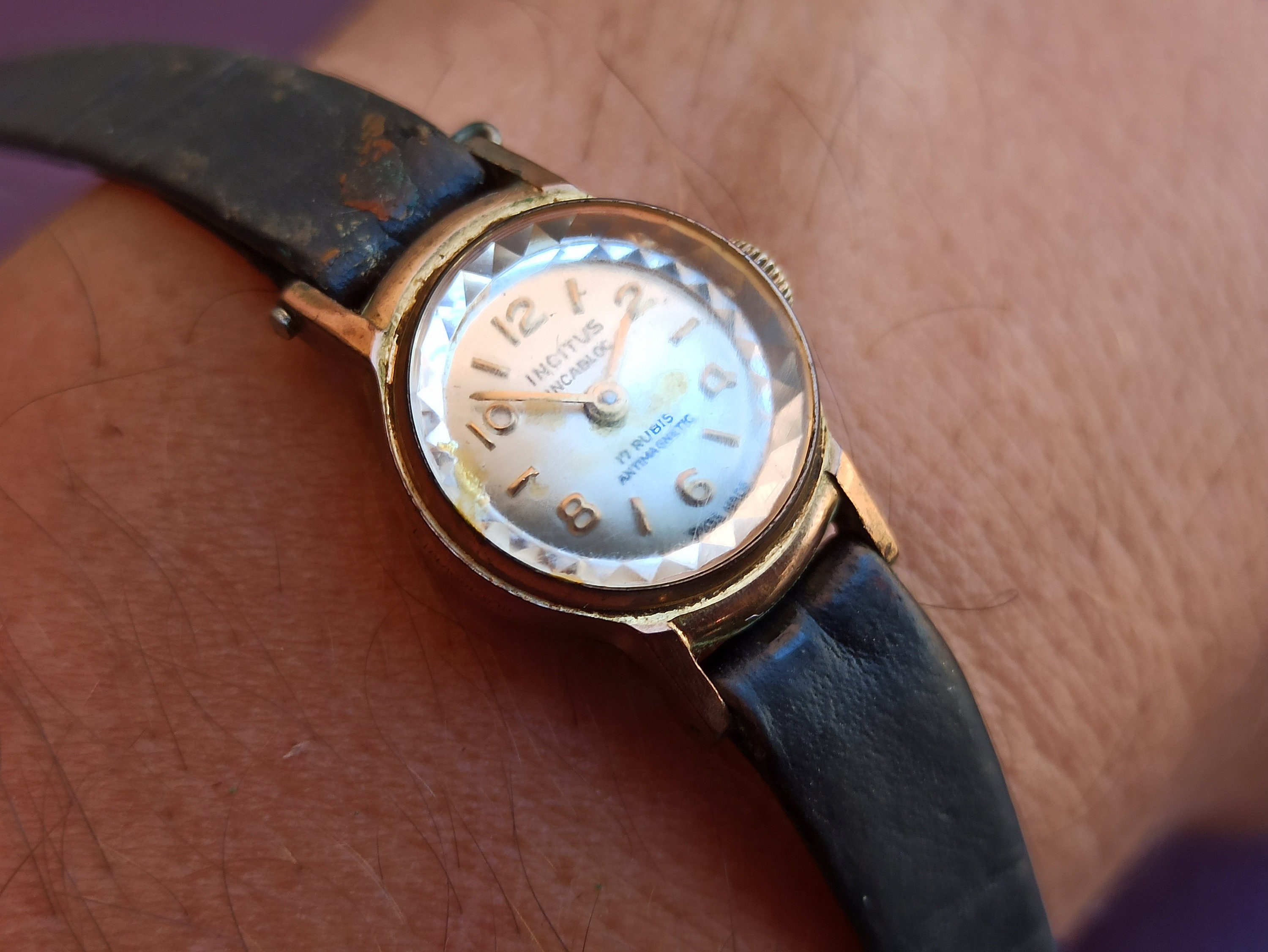 Montre Vintage Incitus Suisse à Remontage Manuel - Années 1960, Acier Inoxydable, Cuir, Occasion