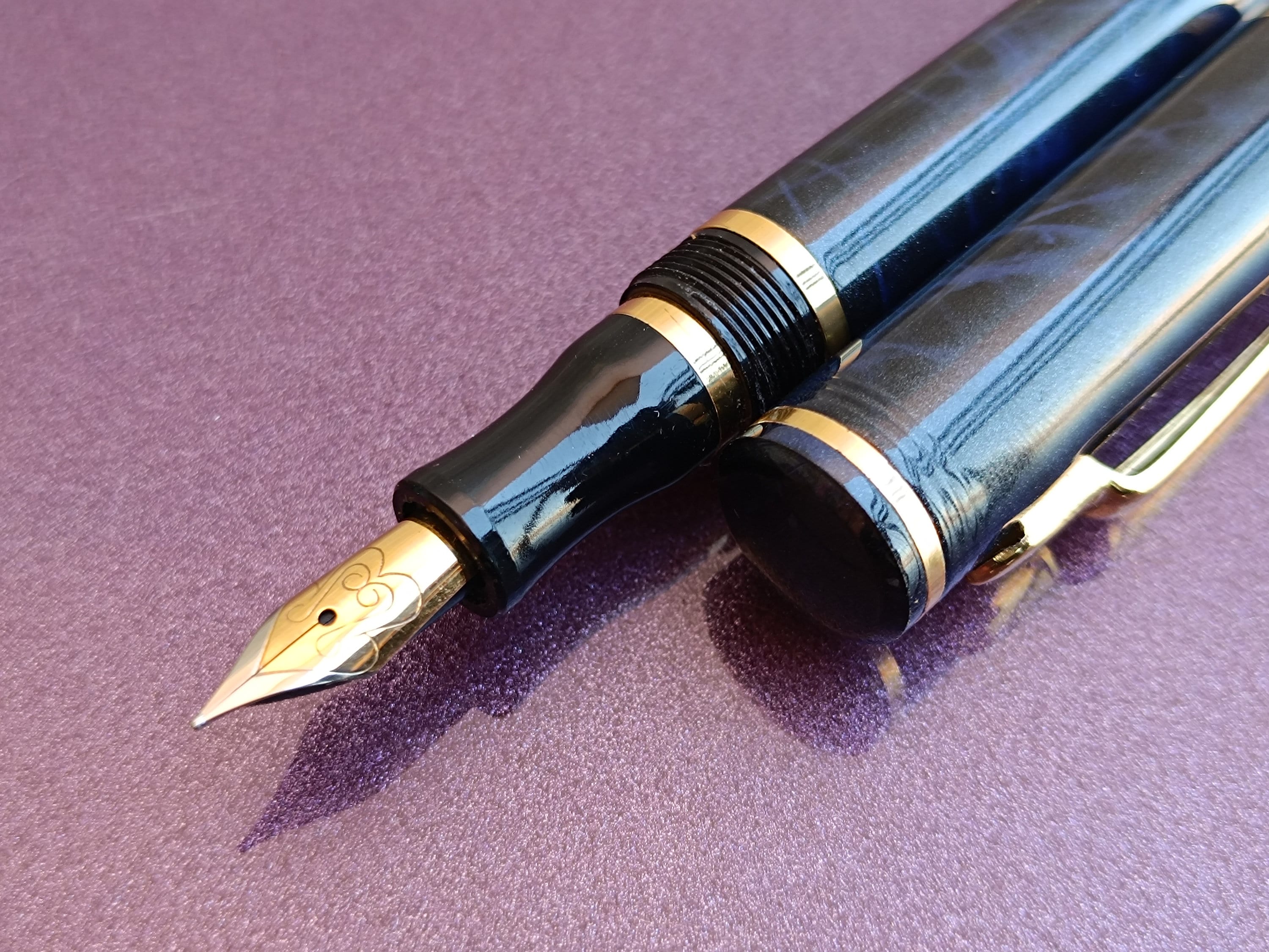 Wood Grain Fountain Pen Iridium Point Germany M Nib Unused