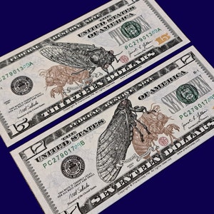 May include: Two modified US dollar bills with a cicada insect illustration on each. The top bill is a $13 bill with the text "Thirteen Dollars" and the bottom bill is a $17 bill with the text "Seventeen Dollars".