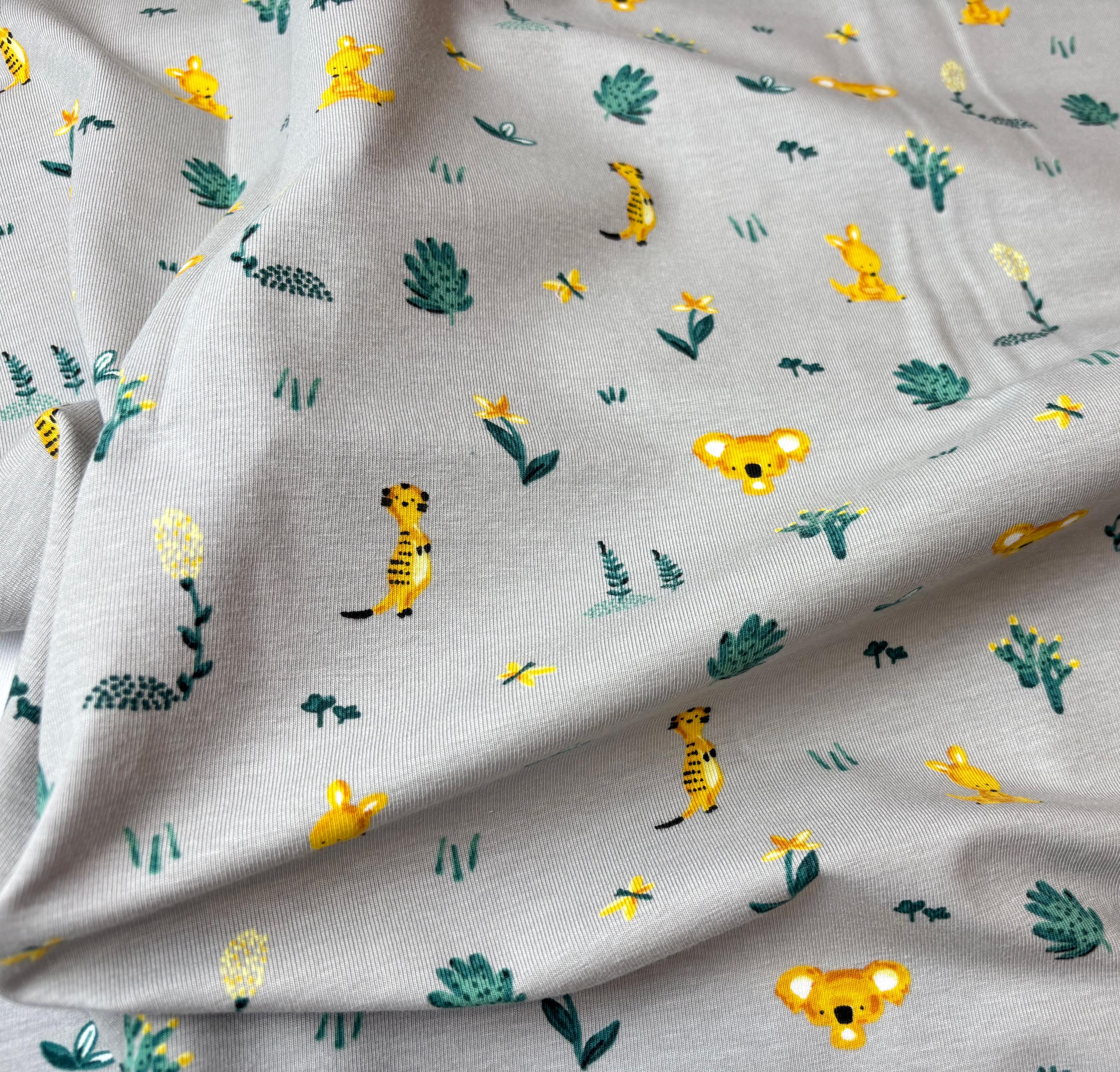 kaktus online shop Kakteen Mix 3 Stück im Topf 12 Ø kaufen