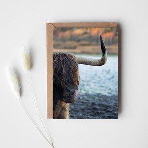 Highland Cow in Autumn Greeting Card, Stationnaire avec ma photographie, vibrations d’automne, feuilles d’automne