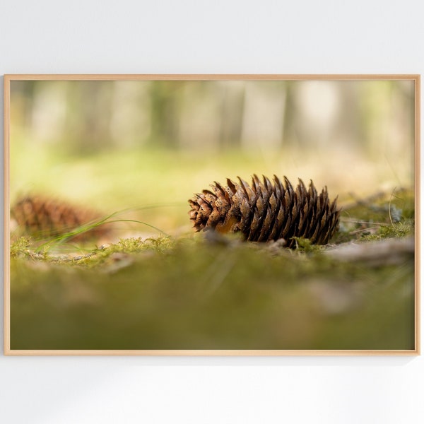 Pine Cone in the Forest Photo Print, Nature Photography, Woodland Wall Art, Sweden forest, Nordic Poster