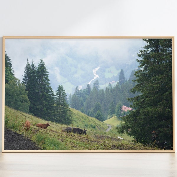 Cows in a meadow of the Mountains of Switzerland Photo Print, Landscape Photography, Swiss Mountains, Alps Photography