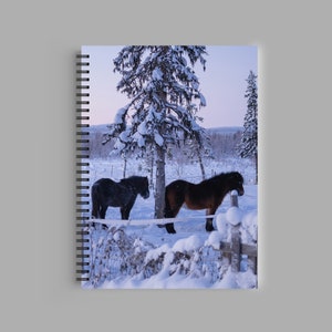 May include: Two horses stand in a snowy field, one black and one brown, with a snow-covered pine tree in the background.
