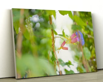 A Pink Flower With Green Leaves Abstract Fine Art Photography Canvas Print / Floral Wall Art, Flower Prints, Large Canvas, Ready to hang