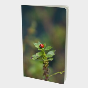 May include: A red ladybug with black spots sits on a green plant with a blurred background.