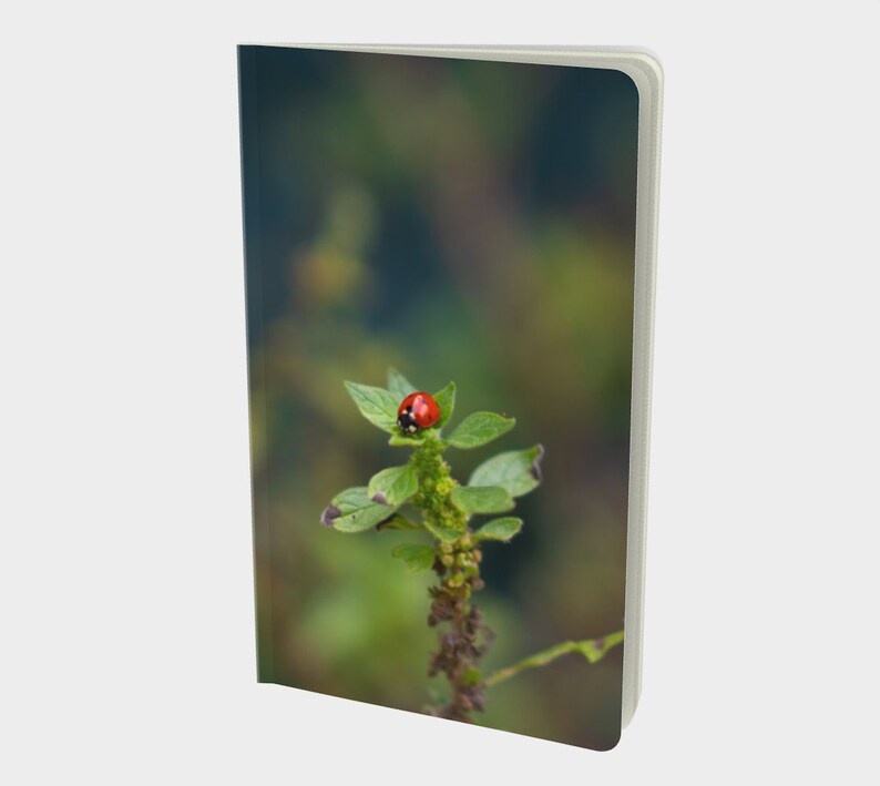 May include: A red ladybug with black spots sits on a green plant with a blurred background.